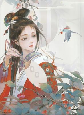 老狼信息网视频